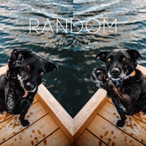 Predefiniti RANDOM / Lightroom