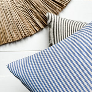May include: Two striped throw pillows, one blue and white, and one black and white. The pillows are arranged on a white surface.