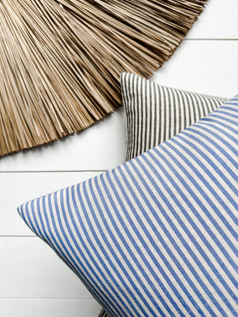 May include: Two striped throw pillows, one blue and white, and one black and white. The pillows are arranged on a white surface.