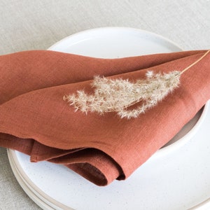 Washed linen napkin in 8x8 20x20cm /soft handmade natural linen napkin/various colors/stonewashed linen cloth napkin image 2