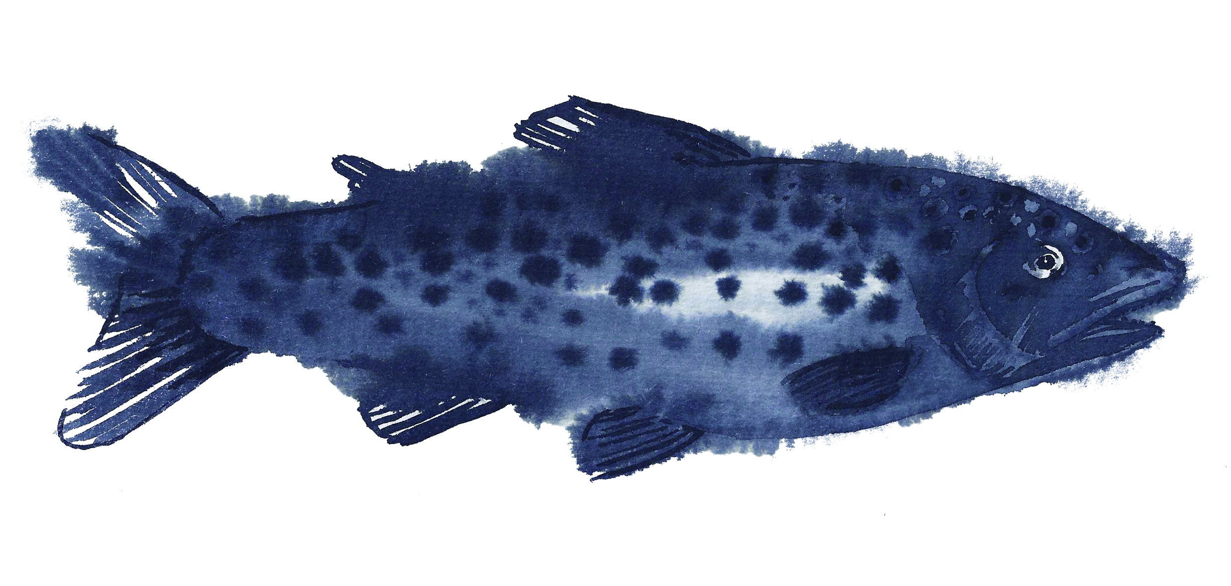 The INK FISH original ink drawing on print Etsy