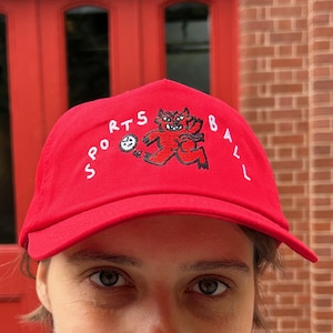 May include: A red baseball cap with the text "SPORTS BALL" and a cartoon graphic. The person is wearing a light blue sweater with a pattern of red and white mushrooms.