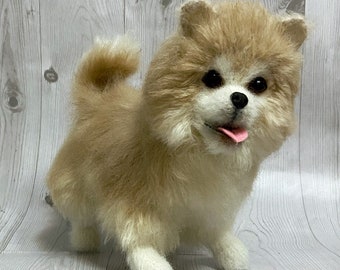 pomeranian stuff