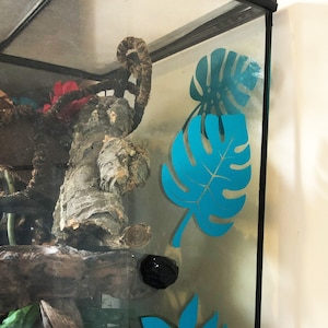 rain forest ,reptile enclosure vinyl stickers.
turquoise
