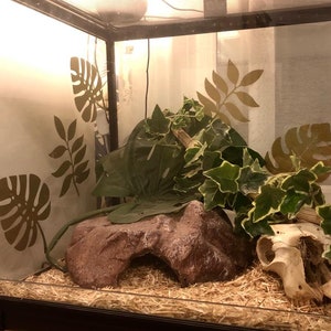May include: A reptile terrarium with a brown rock hide, a skull, and artificial plants. The terrarium is filled with brown shredded paper.