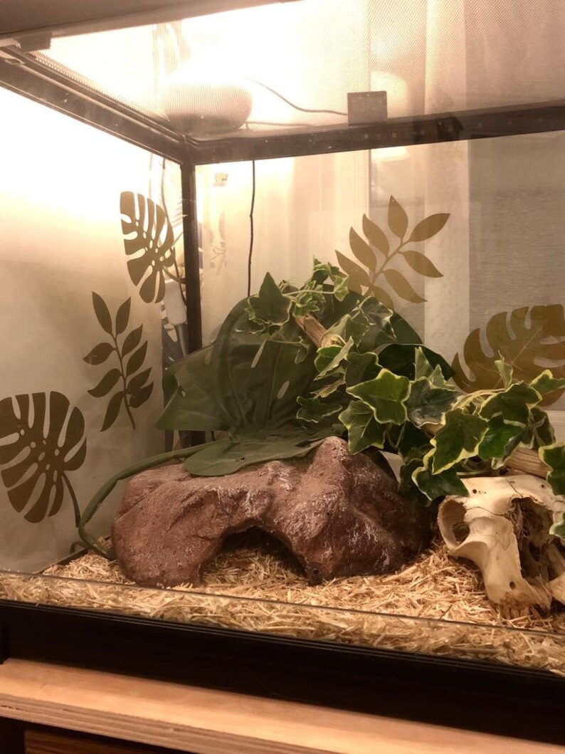 May include: A reptile terrarium with a brown rock hide, a skull, and artificial plants. The terrarium is filled with brown shredded paper.