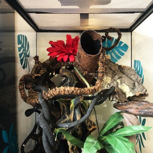 rain forest ,reptile enclosure vinyl stickers.
turquoise