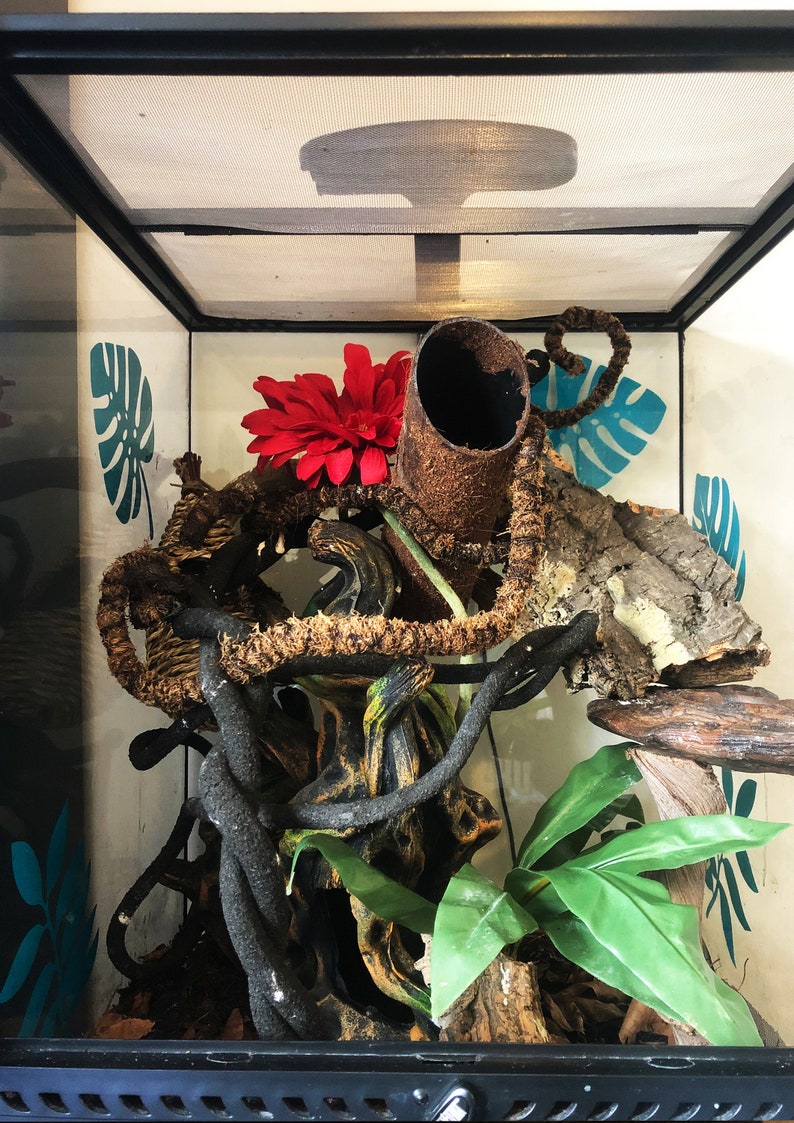 rain forest ,reptile enclosure vinyl stickers.
turquoise
