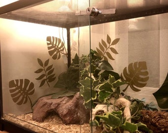 cool reptile tank decor