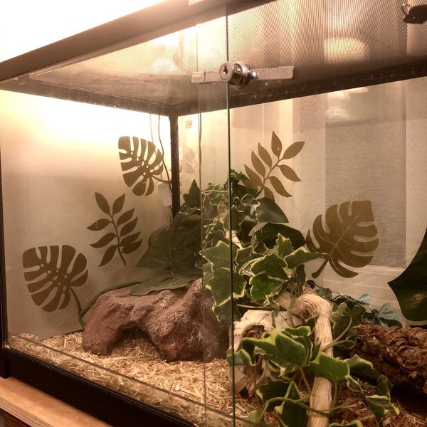 Reptile Tank Decor Etsy