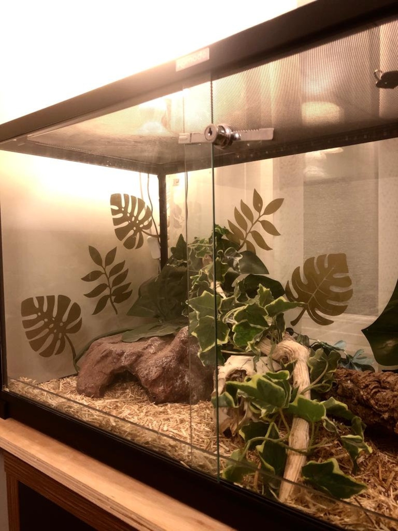 rain forest ,reptile enclosure vinyl stickers.
gold