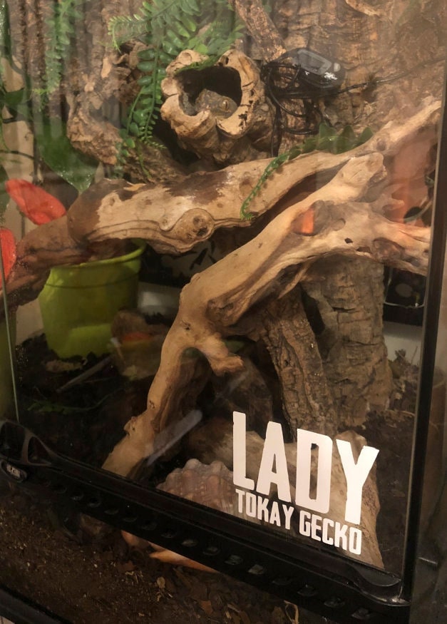 Reptile Enclosures for sale Only 2 left at 65