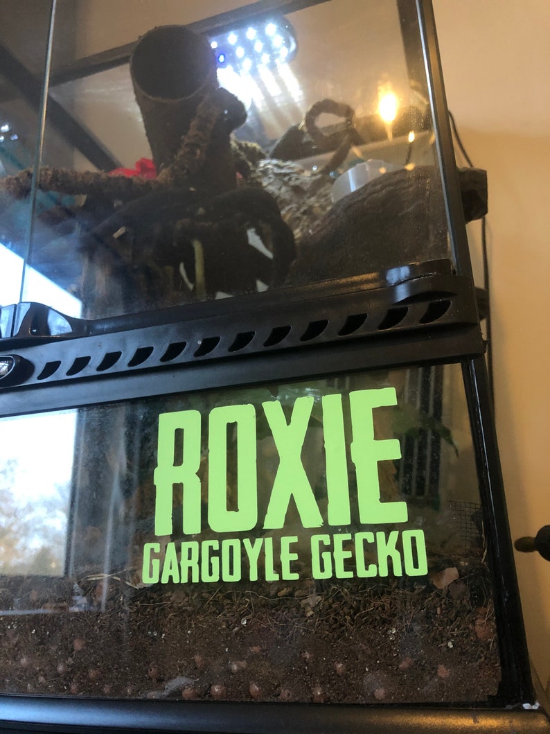 custom name reptile enclosure vinyl sticker.
gargoyle gecko
glow in the dark