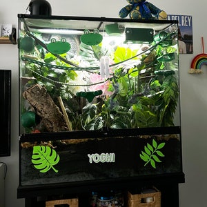 May include: A black glass terrarium with green plants, a wooden log, and a green frog figurine. The terrarium has a black base with a sticker that says "YOSHI" and two green leaf stickers.