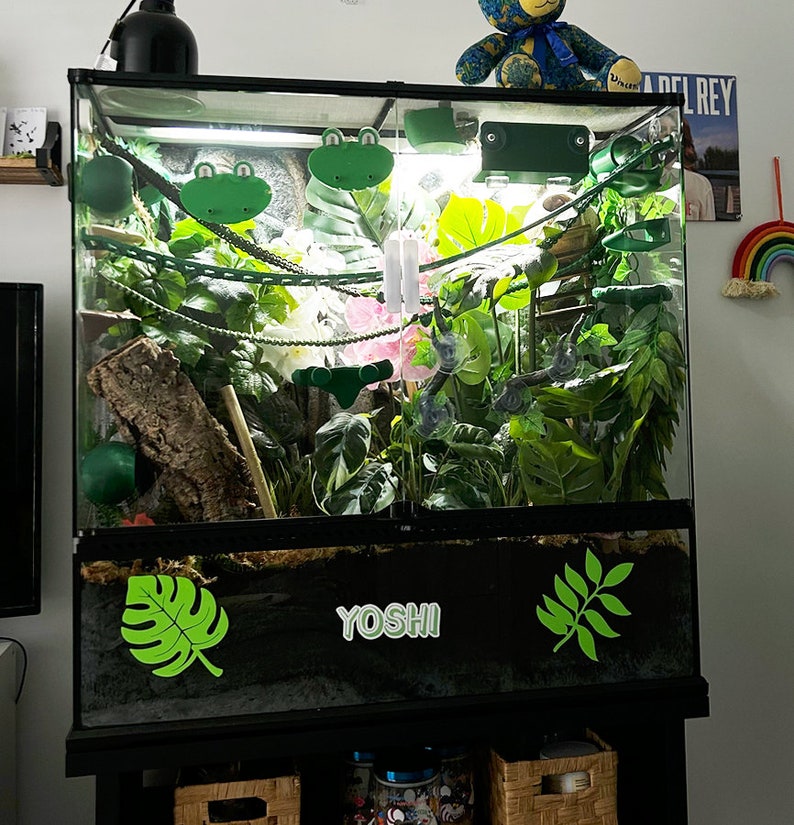 May include: A black glass terrarium with green plants, a wooden log, and a green frog figurine. The terrarium has a black base with a sticker that says "YOSHI" and two green leaf stickers.