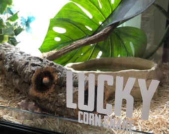 Custom vinyl decals, Reptile decoration, Glow in the dark ,