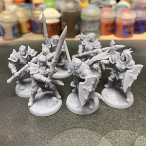 Human Fighters - DnD, Dungeons and Dragons, Tabletop Gaming, Miniature Painting