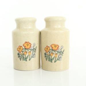 vintage ceramics salt and pepper shakers floral beige