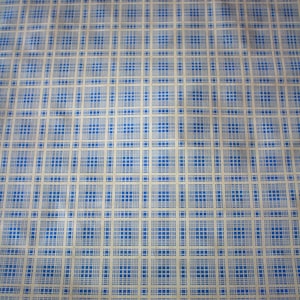 K&ouml;nnte beinhalten: Ein beigefarbener Stoff mit einem blau-wei&szlig;en Karomuster. Der Stoff hat einen dezenten Glanz und eine leicht knitterige Textur.