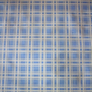 K&ouml;nnte beinhalten: Ein wei&szlig;er Hintergrund mit einem blau-wei&szlig;en Karomuster. Das Muster besteht aus d&uuml;nnen Linien, die Quadrate bilden.