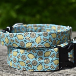 Collar para perros Squeeze the Day I Collar para perros Lemon l Collar para perros de verano l Collar para perros Martingala con hebilla l Collar para perros Woodland