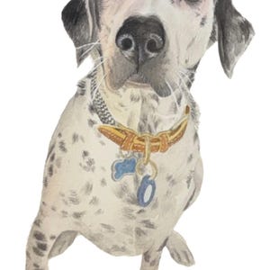 Custom Watercolor Pet Portrait: Personalized Pet Painting Gift