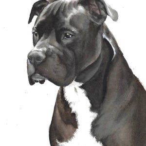 Custom Watercolor Pet Portrait: Handmade Dog Painting Gift