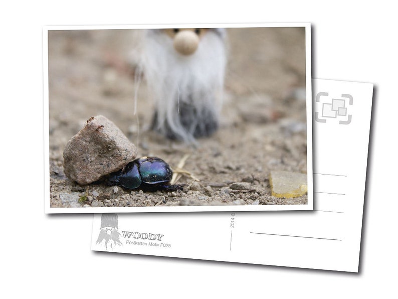 Postkarte: Woody Achtung Steinschlag Bild 1