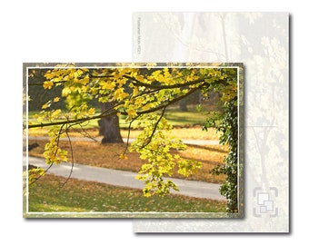 Postkarte: Herbstlichter – Herbst im Park