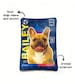 Football Card Personalised Crinkle Dog Toy | Funny Dog Toy | Crinkle Toy 
