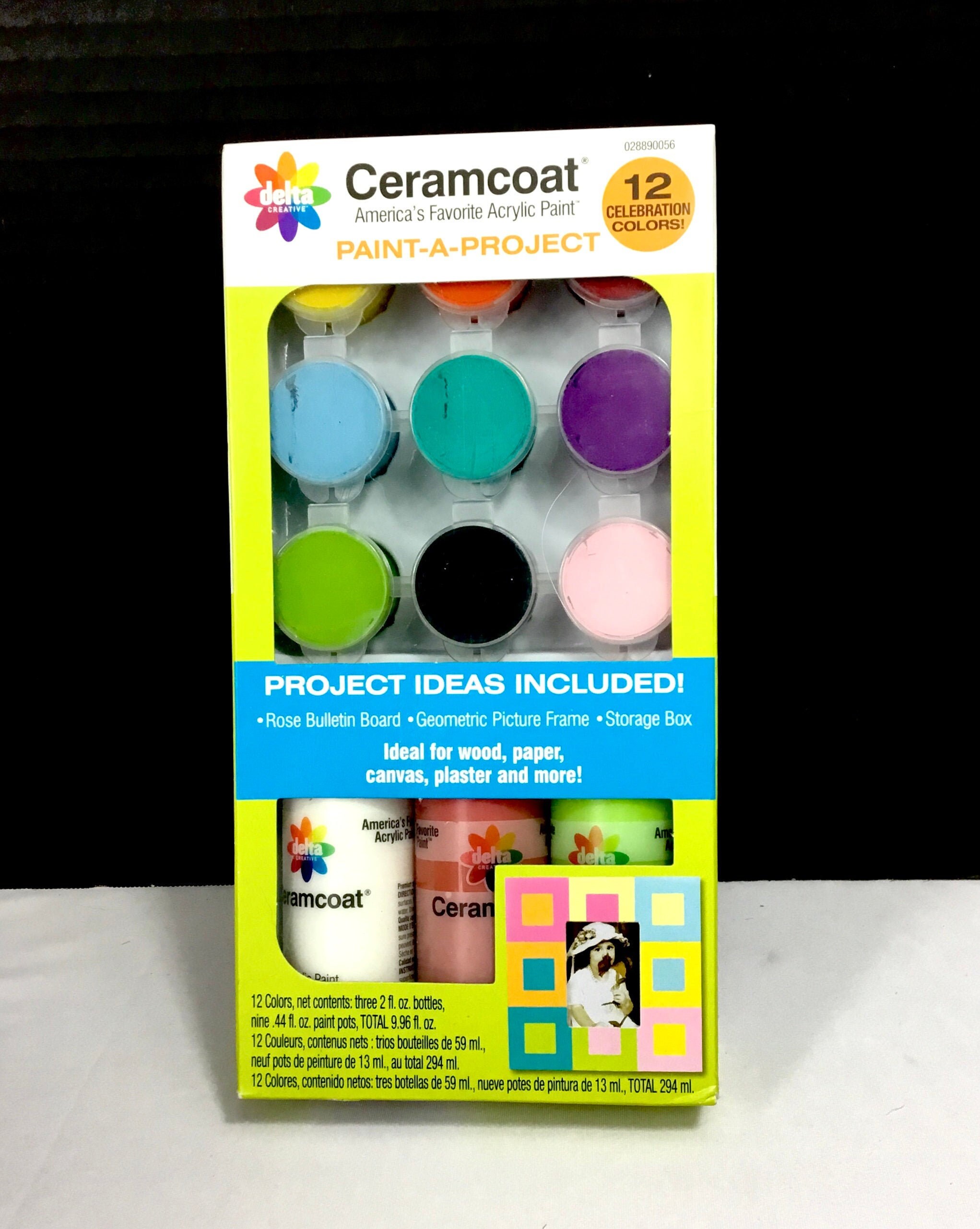 Ceramcoat Paint a Project Kit Etsy