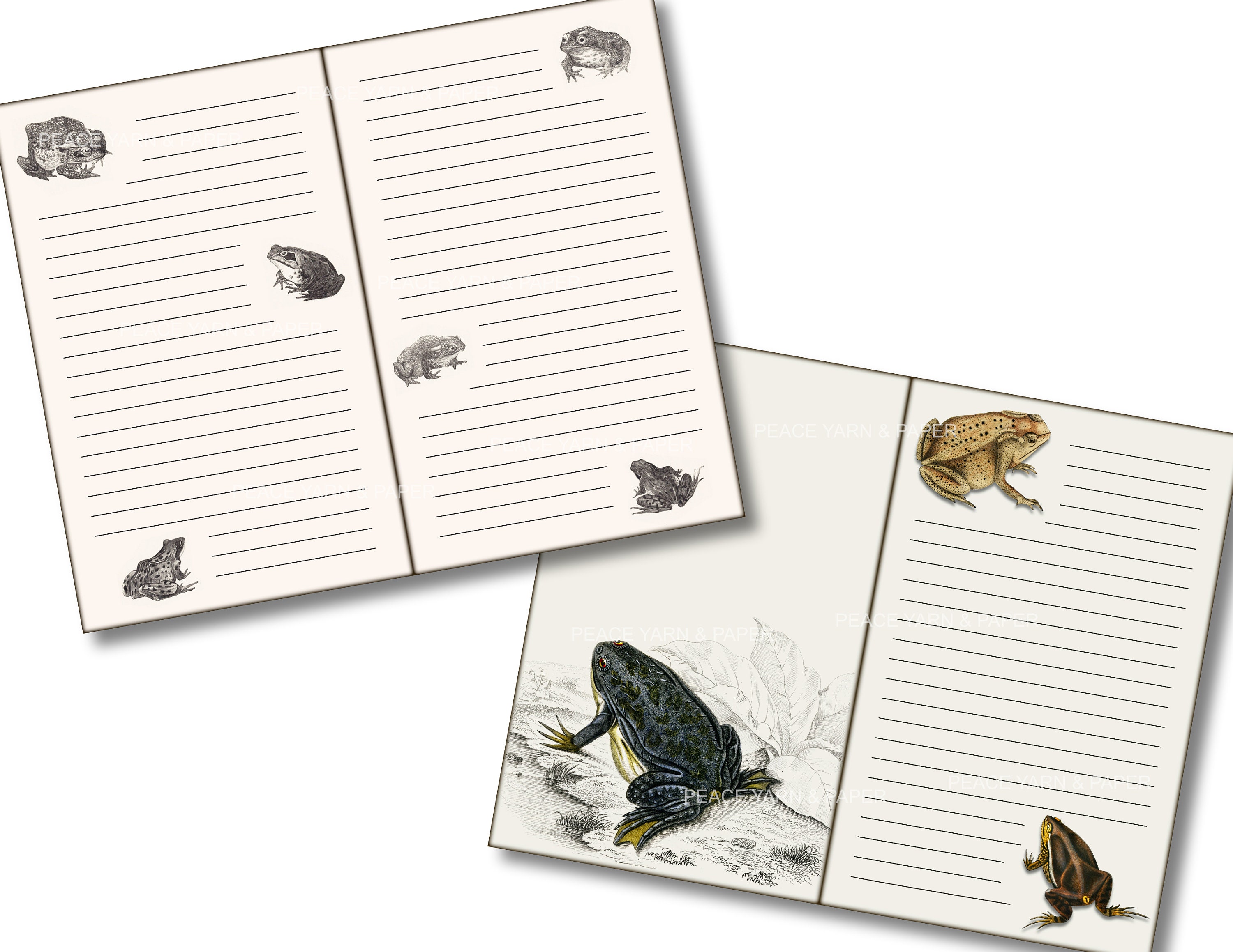 Frog Themed Printable Journal Pages Etsy