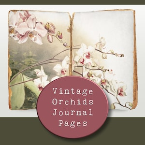 Vintage Orchids Journal Page Printables, Orchid Scrapbook Paper, Orchid Ephemera, Floral Junk Journal