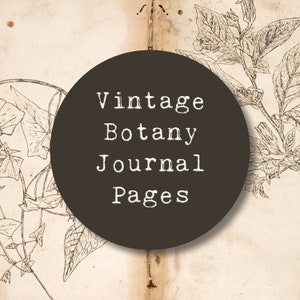Pharmaceutical Botany Vintage Journal Page Prints