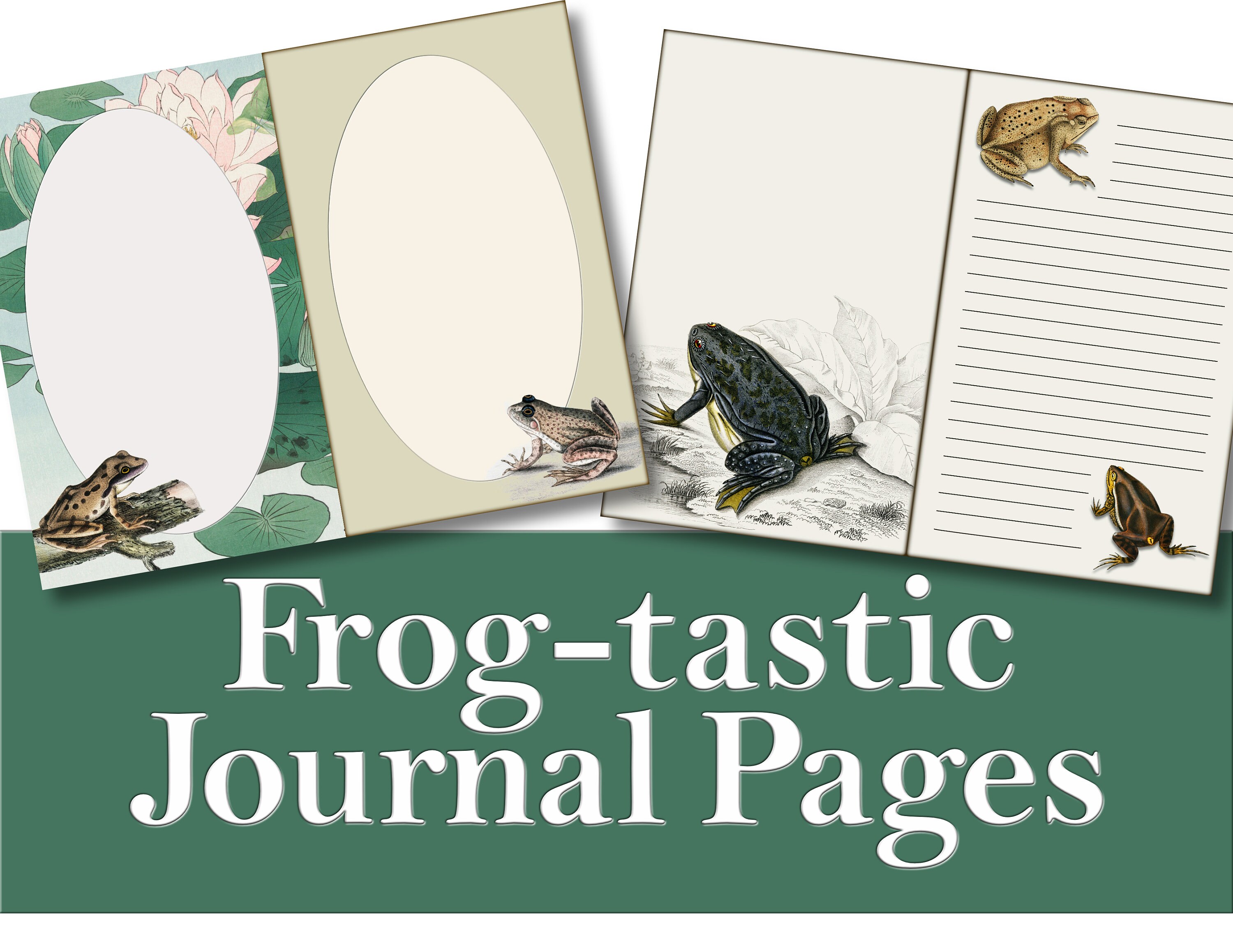 Frog Themed Printable Journal Pages Etsy