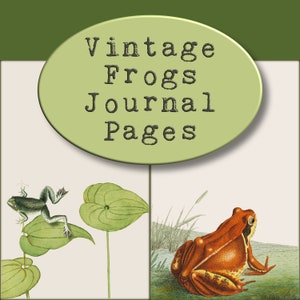 Impresiones de páginas de diario de ranas vintage, papeles de ranas, papelería de ranas