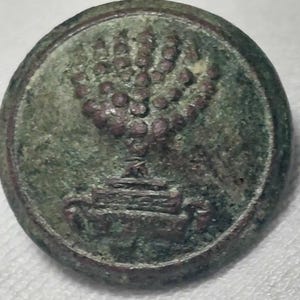 Wonderful Very Rare Vintage Jewish School Button &quot;Tarbut&quot;, Wilno, Very Rare Vintage Jewish Button, Pre-Holocaust, Collection.