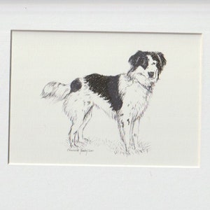 Border Collie Dog Art Original Ink Drawing Matted to 8x10 Inch