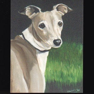 Italian Greyhound Dog Art Reproduction Postcard 5-1/2 x 4 pollici
