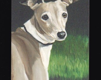 Italian Greyhound Dog Art Reproduction Postcard 5-1/2 x 4 inch