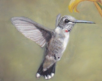 Hummingbird Original Bird Art Oil Painting Framed 6x6