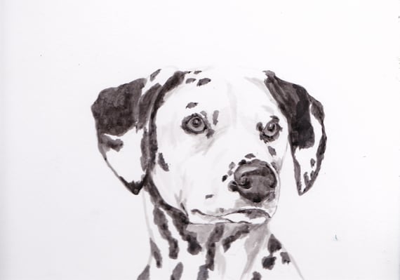 ダルメシアン犬アート ペットの肖像画 インク画 絵画 ギフトに最適 