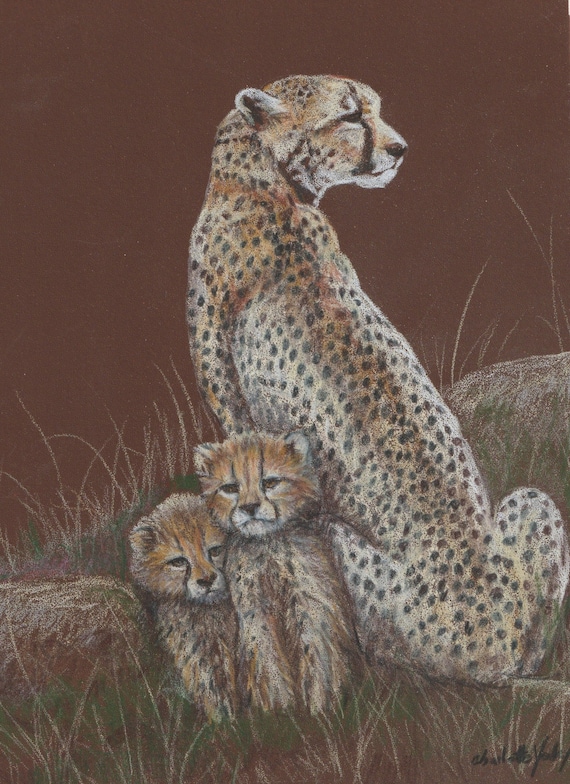 Colored Cheetah Drawing