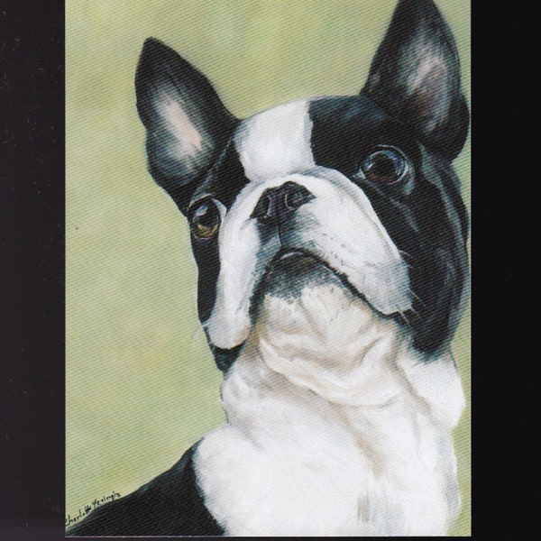 Boston Terrier Canine Dog Art Reproduction Postcard 5.5x4 Inch