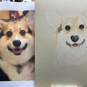 Lápiz de color personalizado Perro Arte Retrato de mascota Dibujo de su foto 9x12 en papel de color