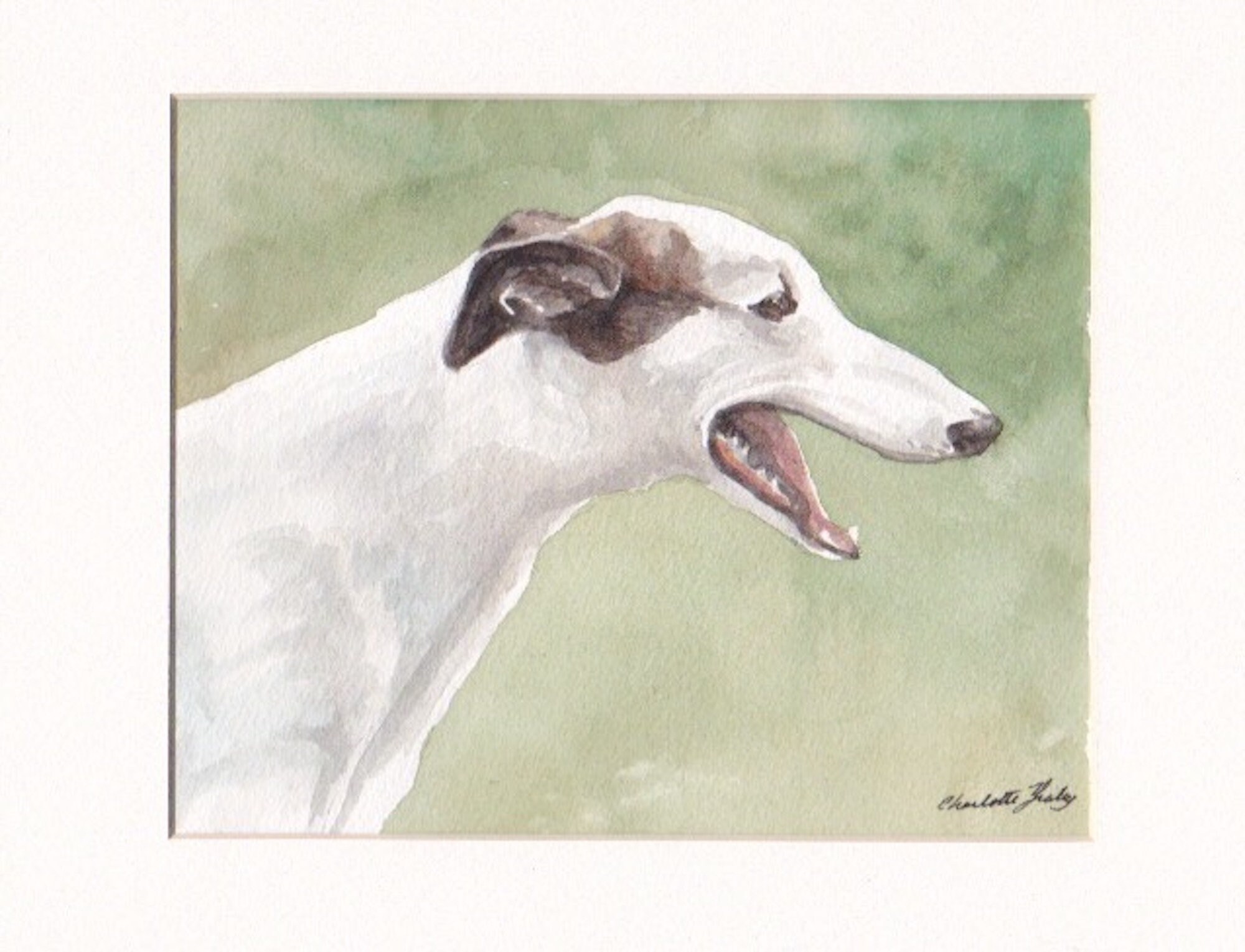 Greyhound Sighthound Profile Dog Art Original Watercolor Painting 5x7 Signed