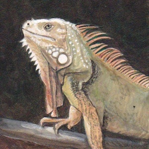 Iguana Lagarto Reptil Pintura acrílica original Arte mural firmado 5x7
