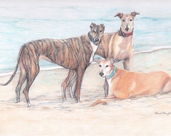 Three Greyhound on Beach Sighthound Canine Dog Art Original Colored Pencil Drawing Matted Signed
