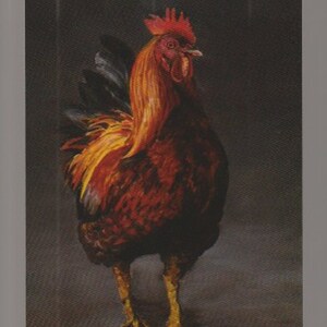 Hahn Bauernhof Vogel Kunst Reproduktion Postkarte 5,5x4 inch