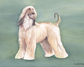 Afghaanse windhond windhond Canine Dog Art aquarel 9x12